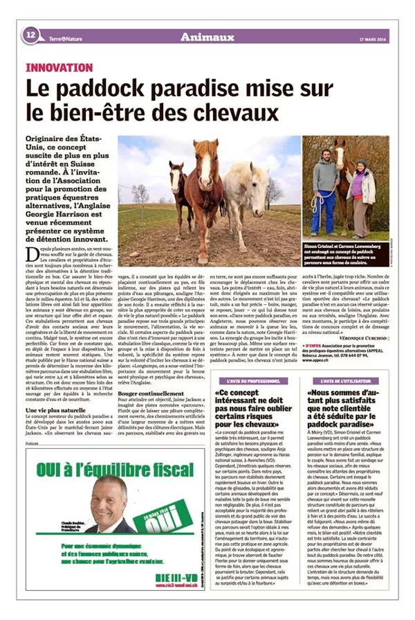 articles