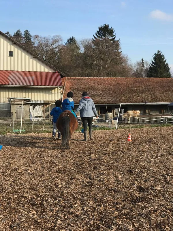 Cours 2018